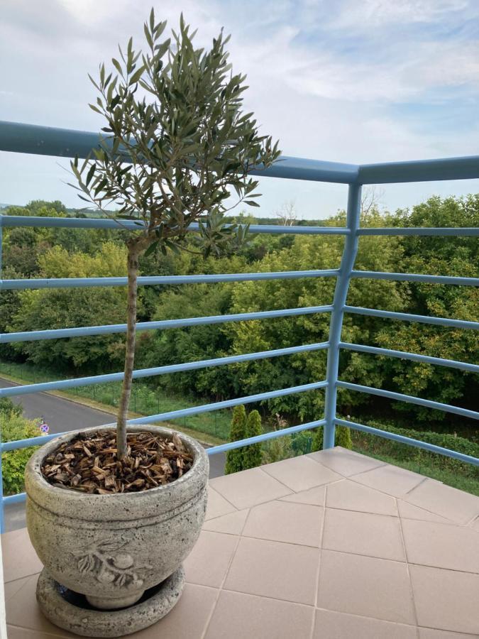 Libellula Apartman Hévíz 外观 照片